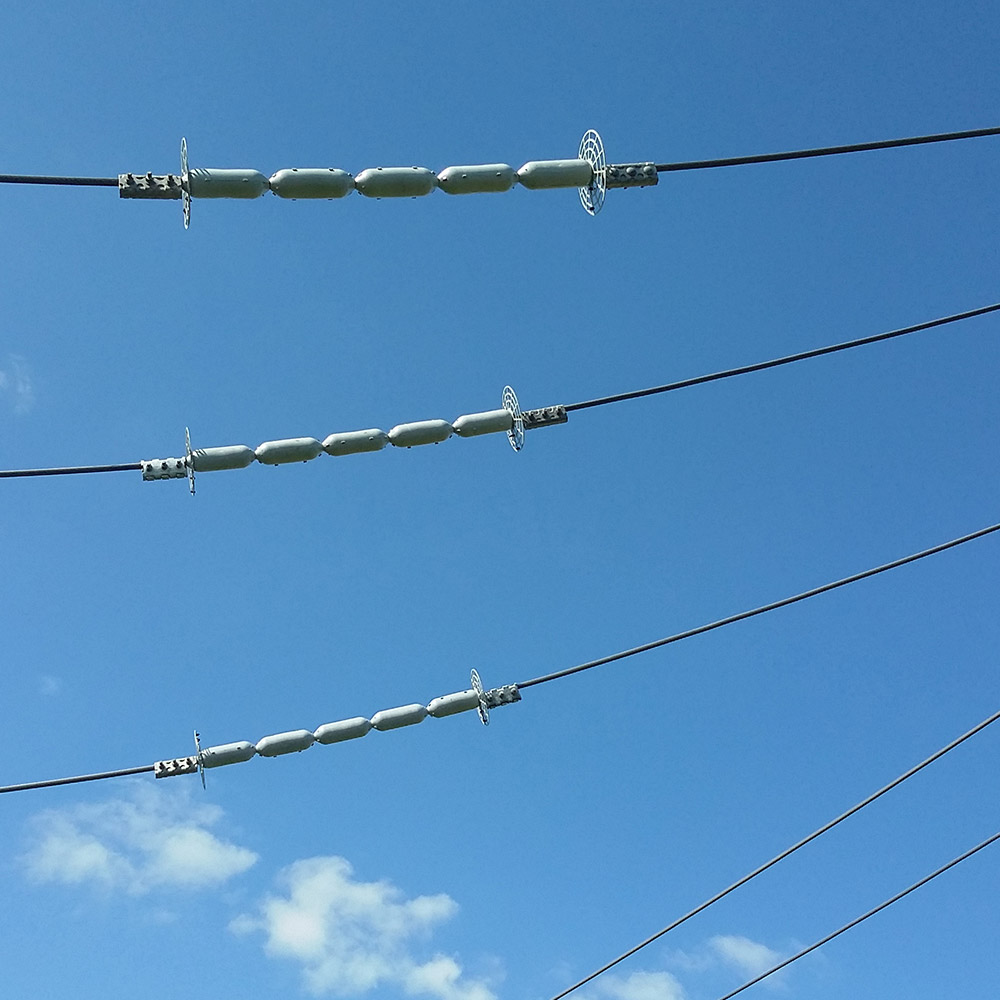 Los guardias de líneas ayudan a evitar cortes de energía por interferencias